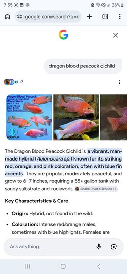 Aquarium decor;)