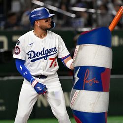 Dodgers Miguel Rojas Signed And Game Used Leg Guard