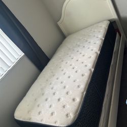 Twin Size Bed With Mattress 