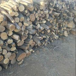 Orange tree Firewood