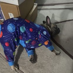 Dog Pajamas