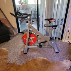 Sunny  Exercise  Bike 