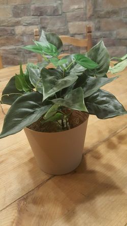 Decorative artificial plant