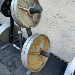 Gym Equipment 