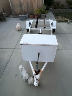 Zieman Jet Ski Trailer
