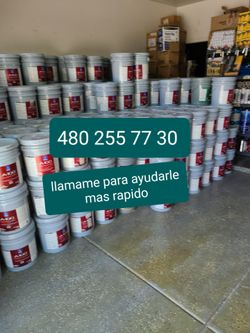 Paint and primer