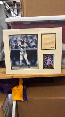 Frank Thomas “Big Hurt” Player Display Card/Poster 