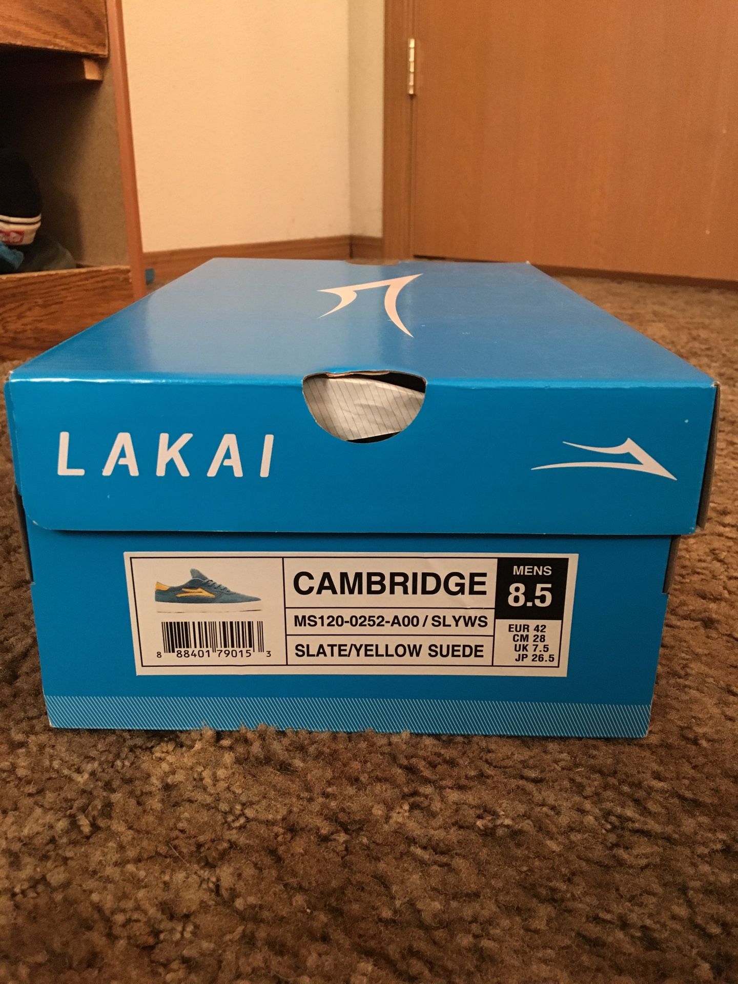 LAKAI shoes brand new