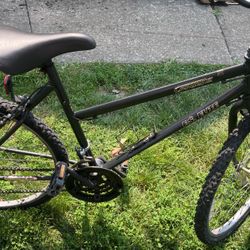 Mountain Bike 