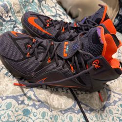 LeBron 12 instinct size 9.5 great