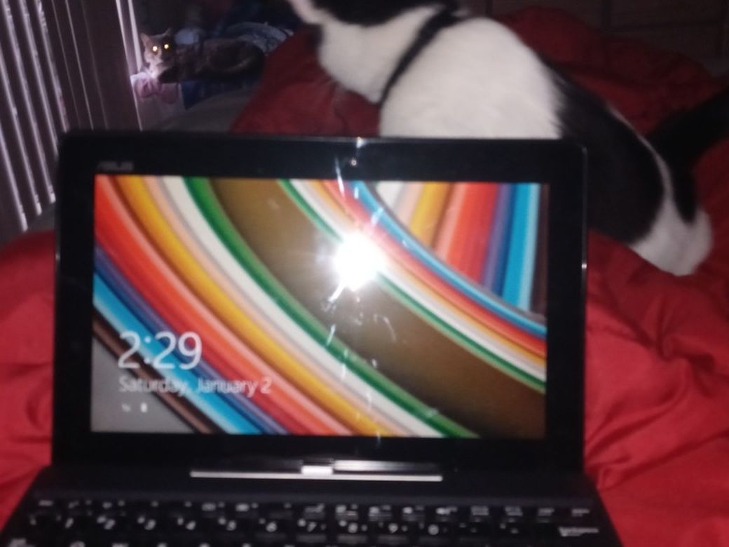 ASUS 2 in 1 Tablet W/ Keyboard