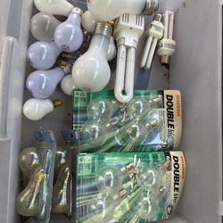 Light Bulbs 