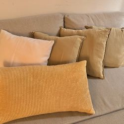 Couch Pillows (all for $20 or $5 each)