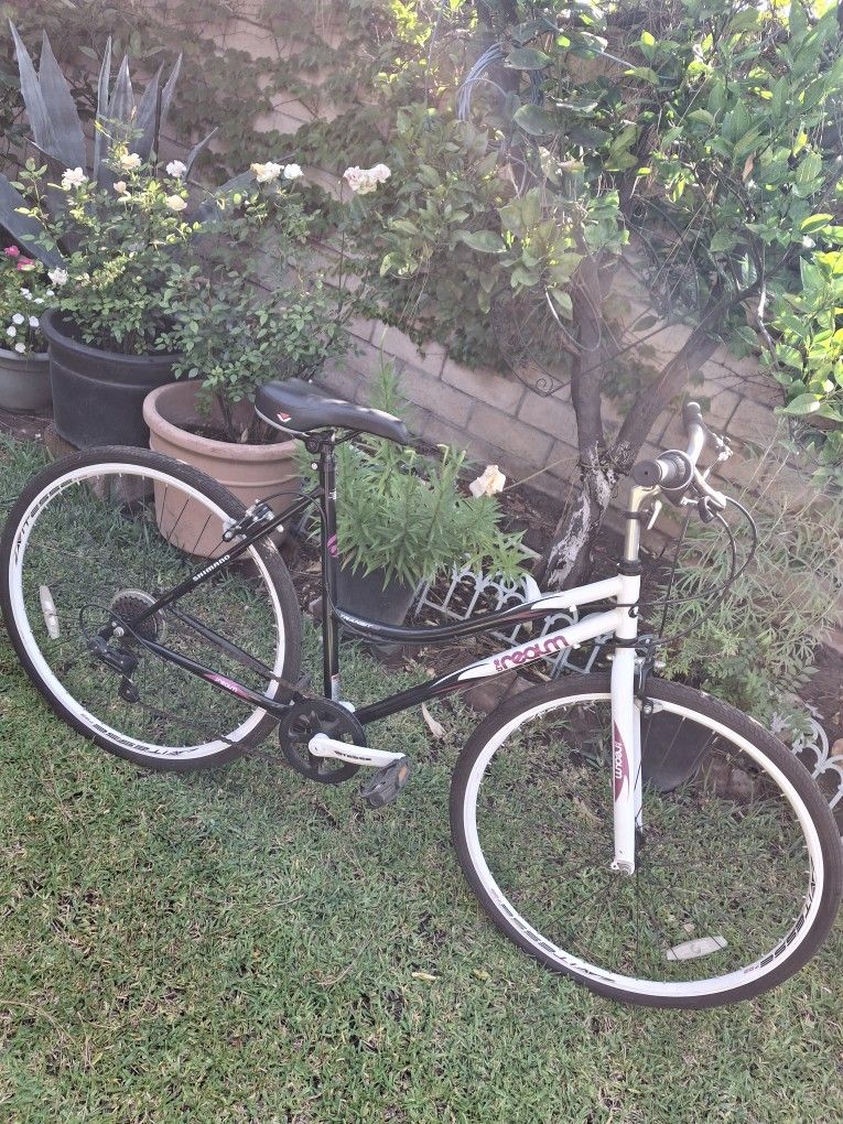 Woman Bike Exellent Condition Firm