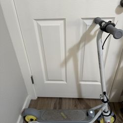 Segway Ninebot Electric Scooter