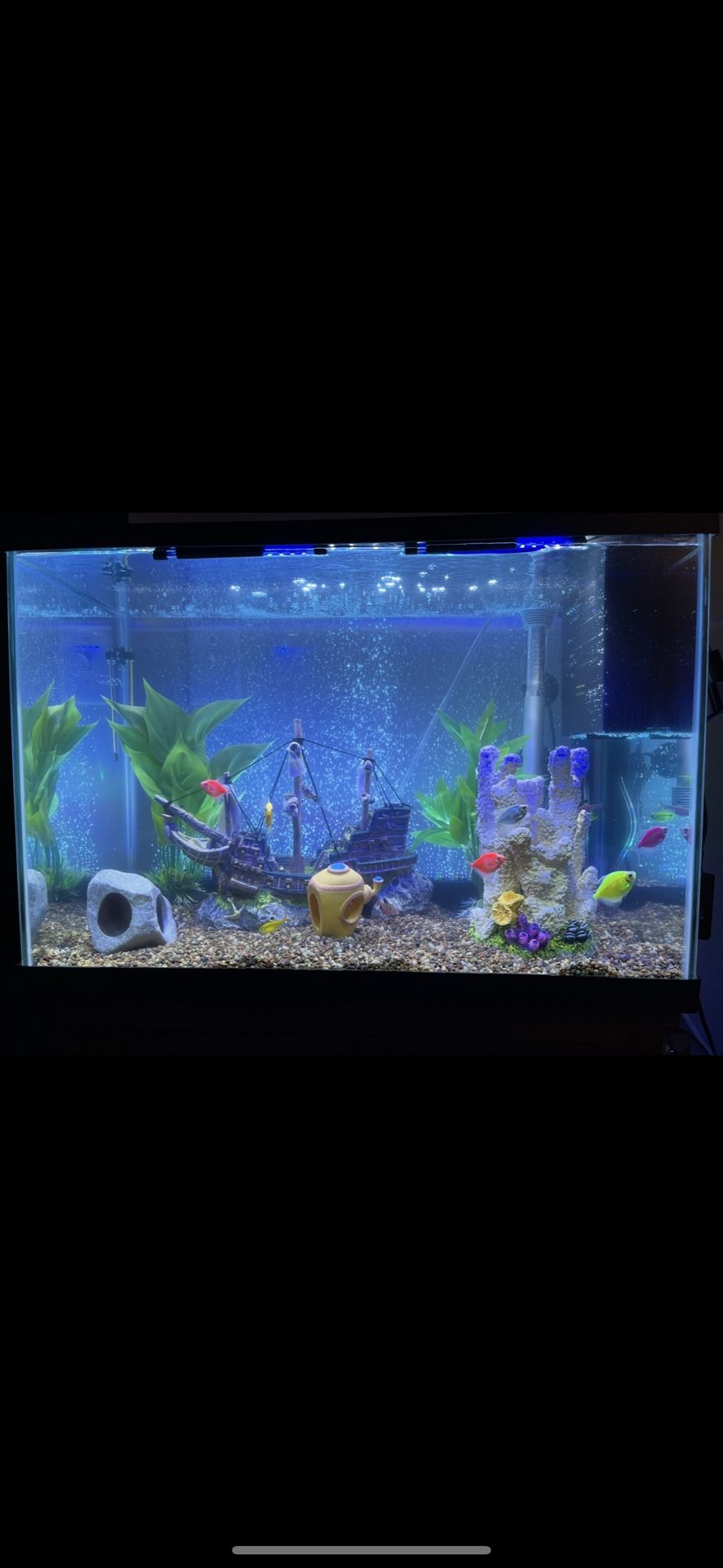 20-Gallon Fish Tank with Full Setup – No Fish