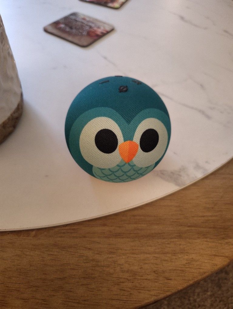 Amazon Echo Dot Kids