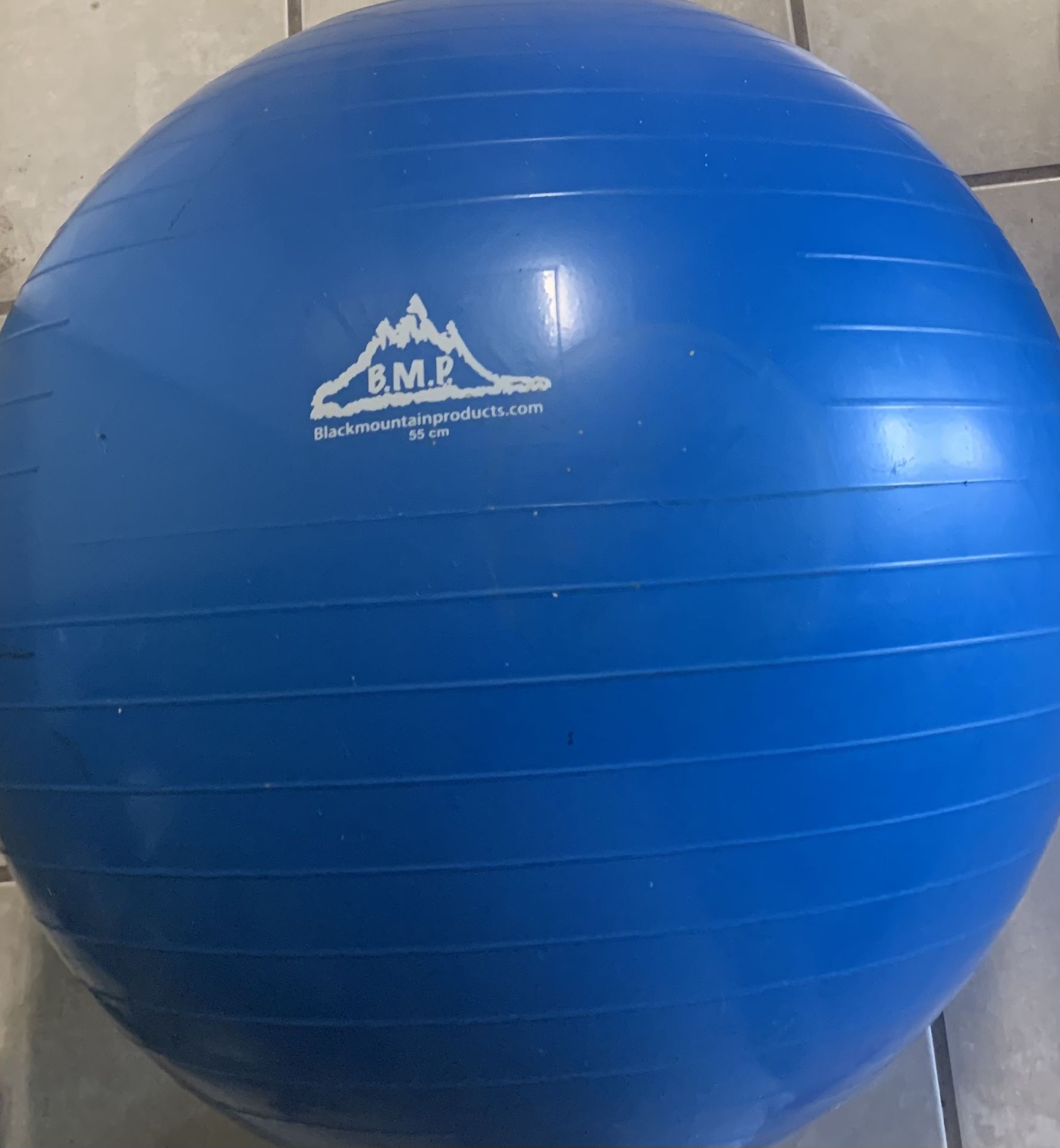 Exercise Ball / Yoga Ball – Black Mountain Products – 55cm