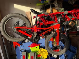 Kids Bikes: Trek and Liv