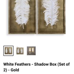 2 Feather Enclosed Gold And Glass Artwork 