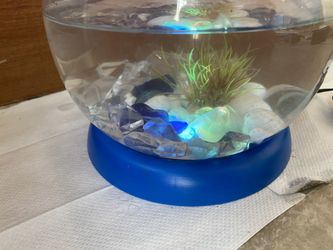 Fish bowl tank for Kids with Led changing light.