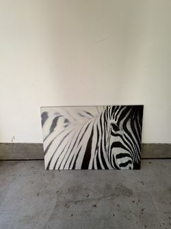 Zebra Canvas Print