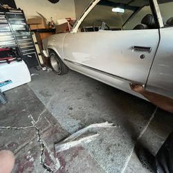 Door Chrome Molding