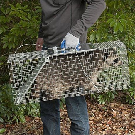 HAVAHART 1-Door Easy Set Large Animal Trap Style Modern Item Weight 13.3 Pounds Series: Easy Set Type: Large Material: Steel Finish: Galvanized Door T