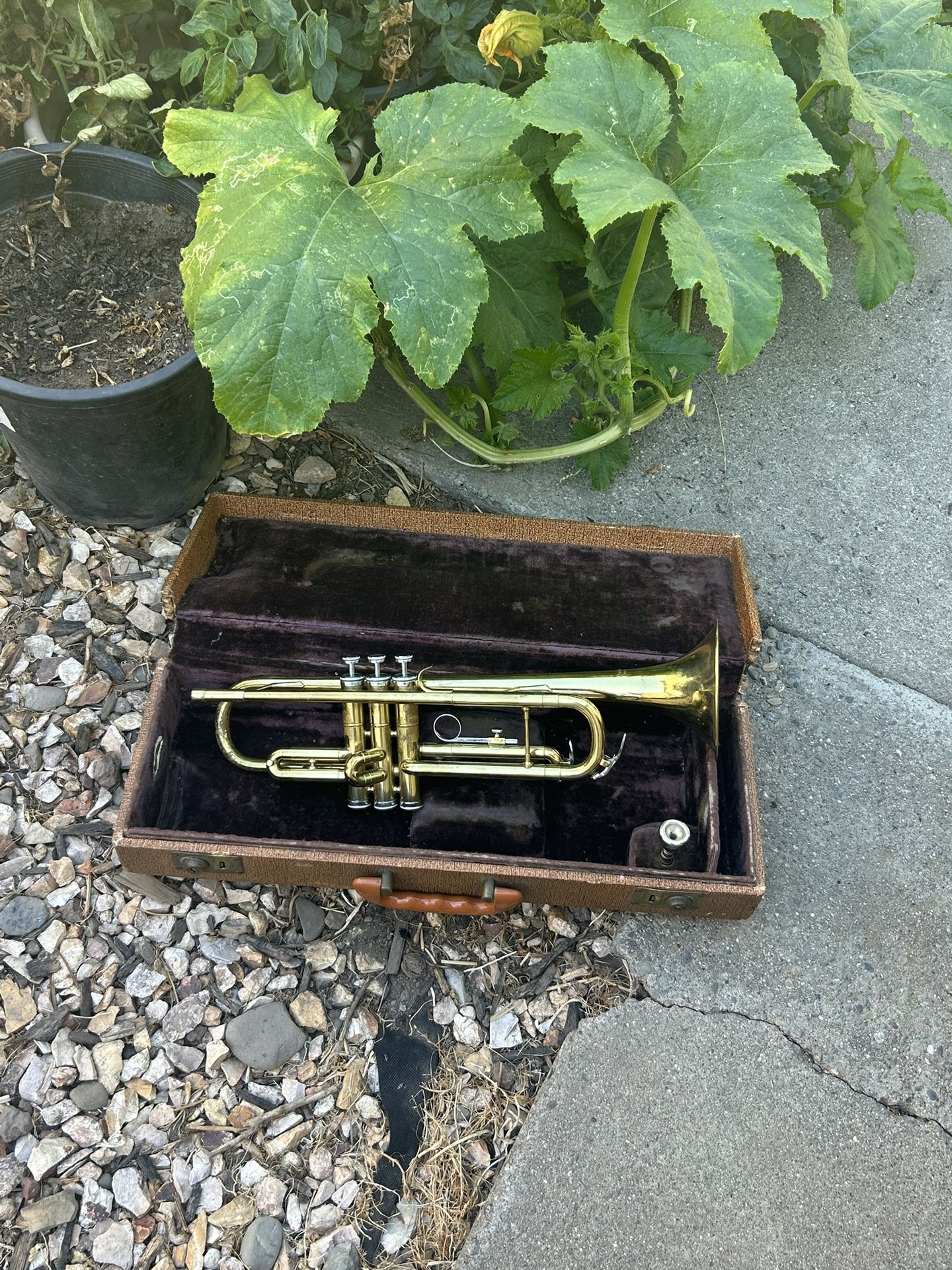 Vintage Trumpet. ๐บ