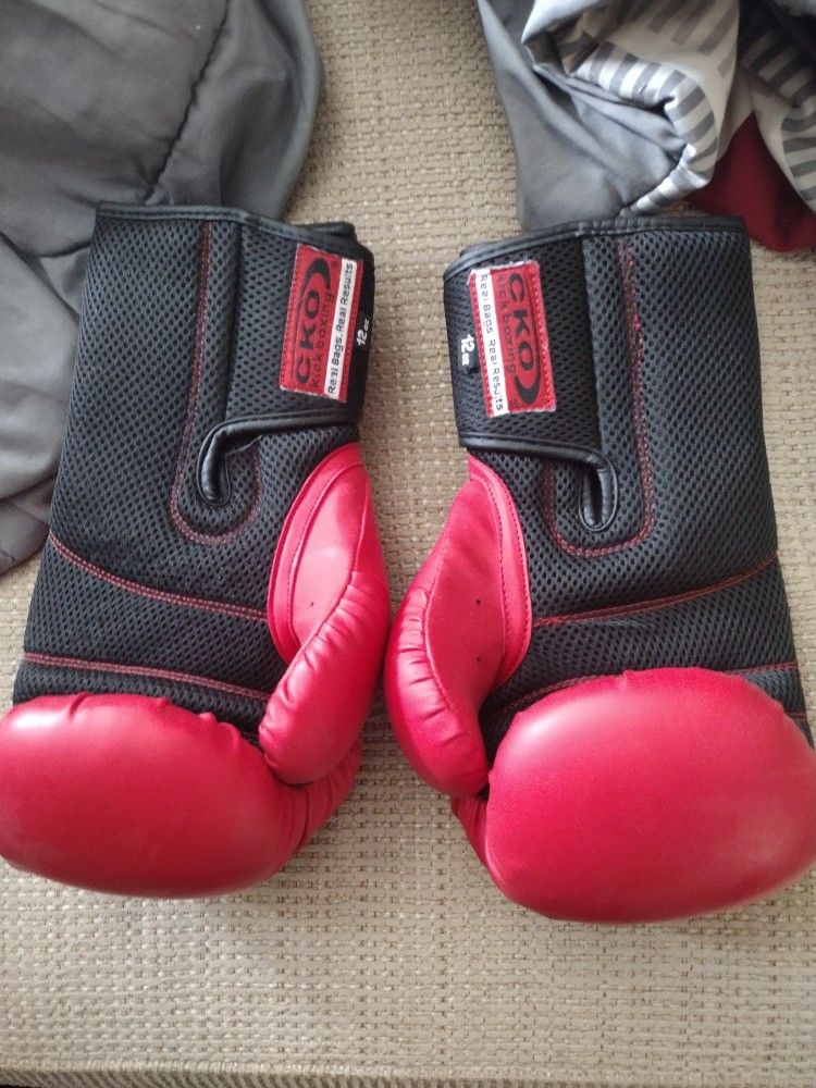 $ 25.00 Boxing Gloves