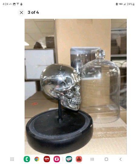 New retail surplus skulls under glass.