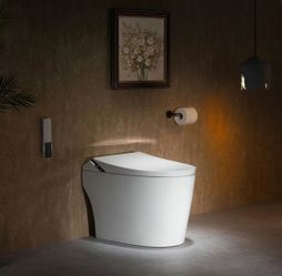 ADA Compliant Smart Toilet