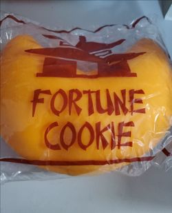 Jumbo Fortune cookie squishy