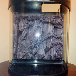 Fish Tank 5gallon FULL SYSTEM