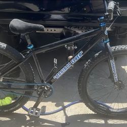 SE Bike