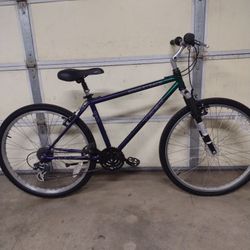 Trek 26 Inch