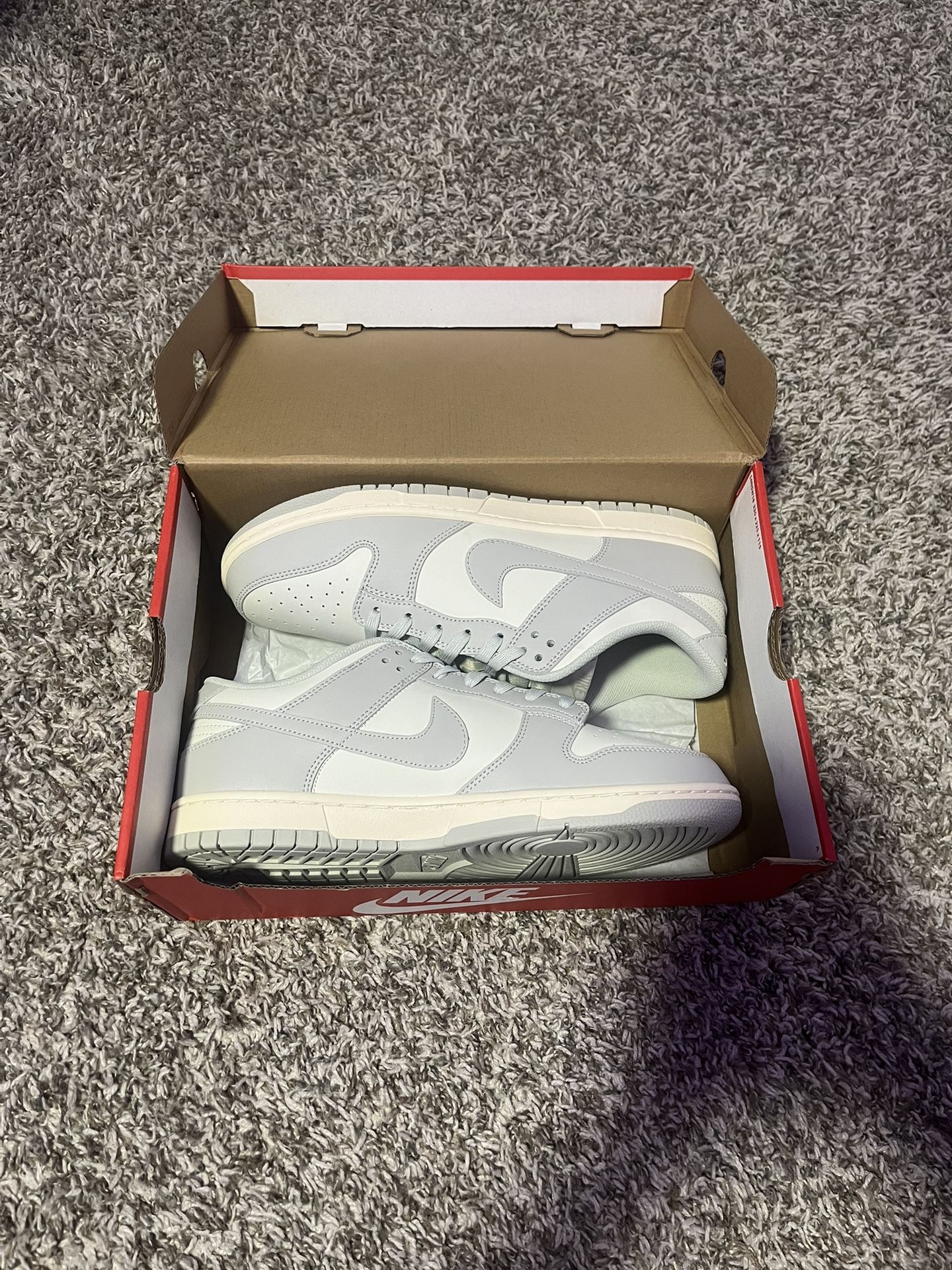 White Nike Dunks
