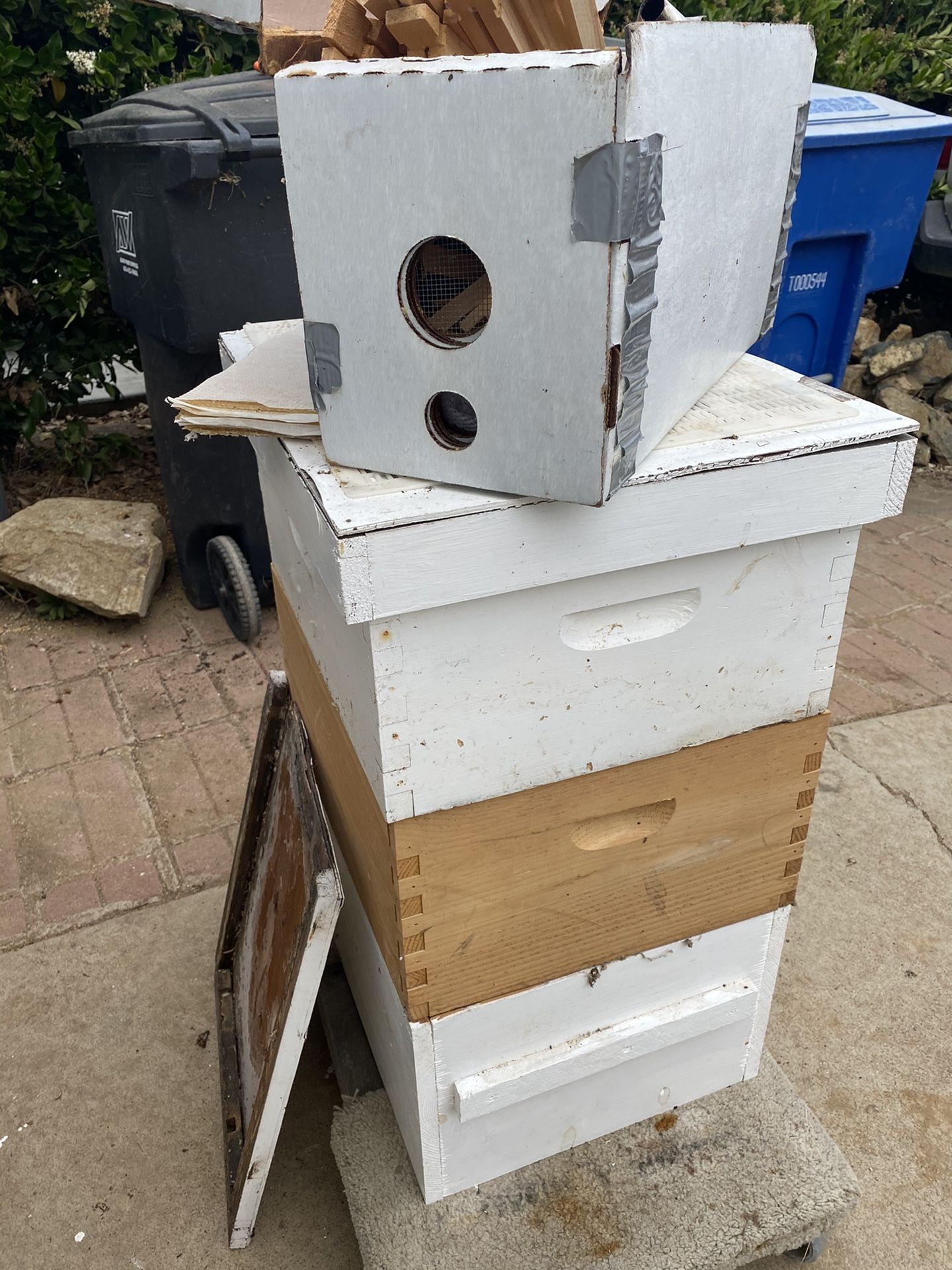 Langstroth Bee Hive