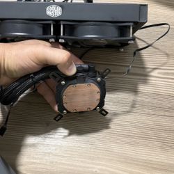 Se Venden Piensas De Computadora 