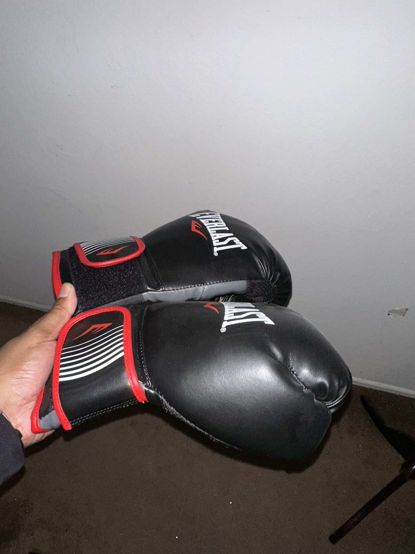 Everlast Boxing Gloves