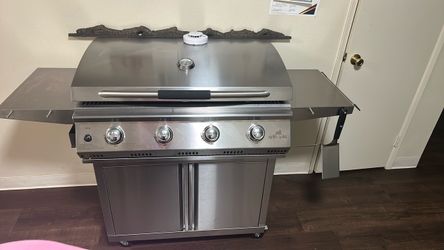 Propane grilla grill