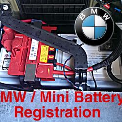 BMW / Mini Battery Registration