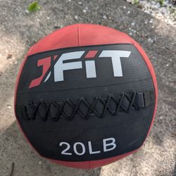 20 lb Wall Ball