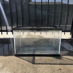 10 Gallon Tank