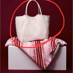 victoria’s secret bag