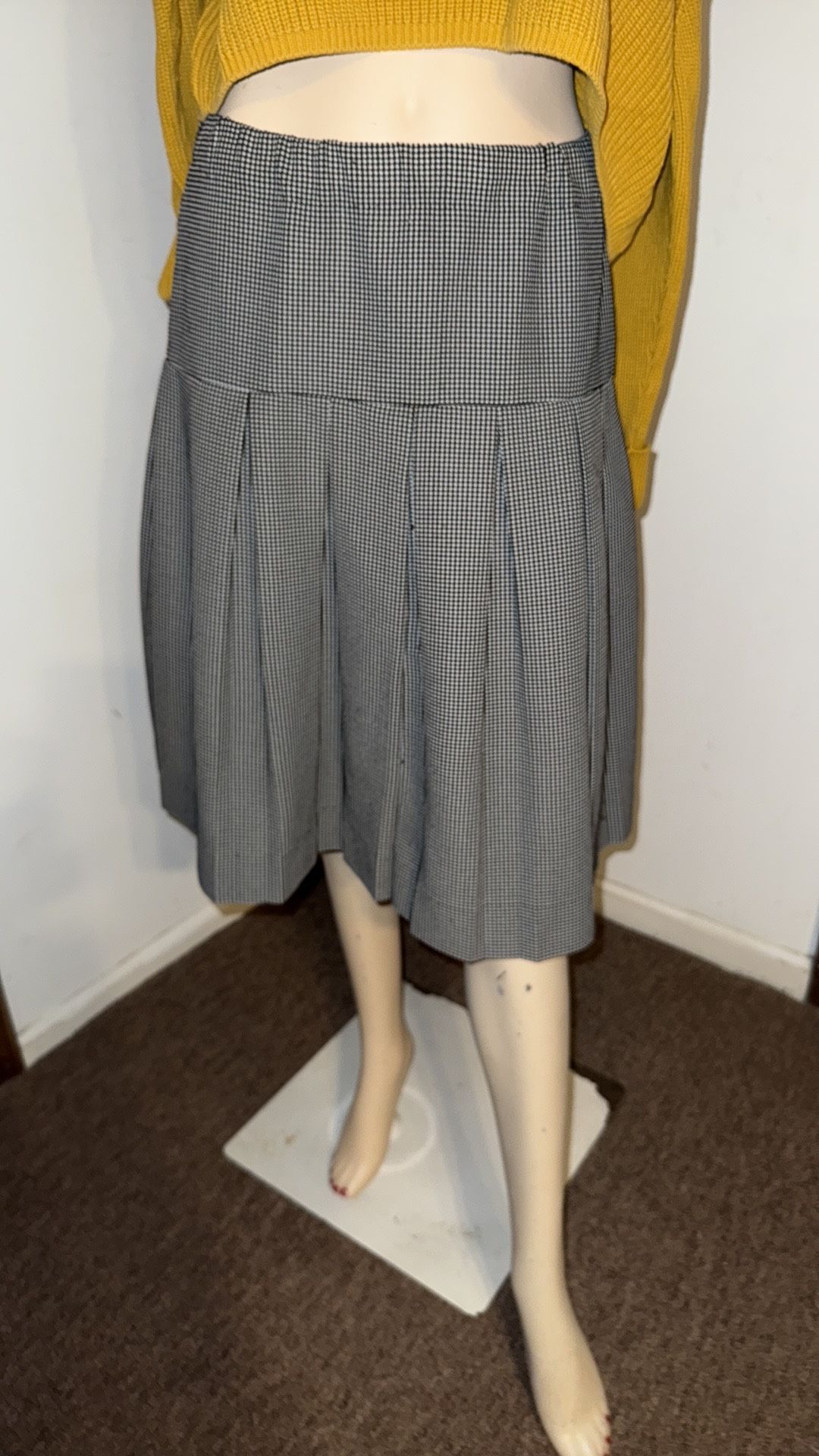 Pleated Skirt