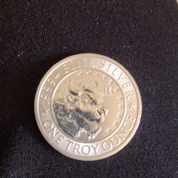 Silver bullion coin