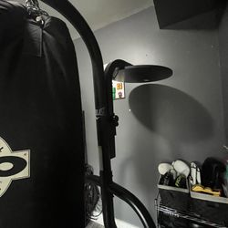 Everlast Heavy Bag And Speedbag