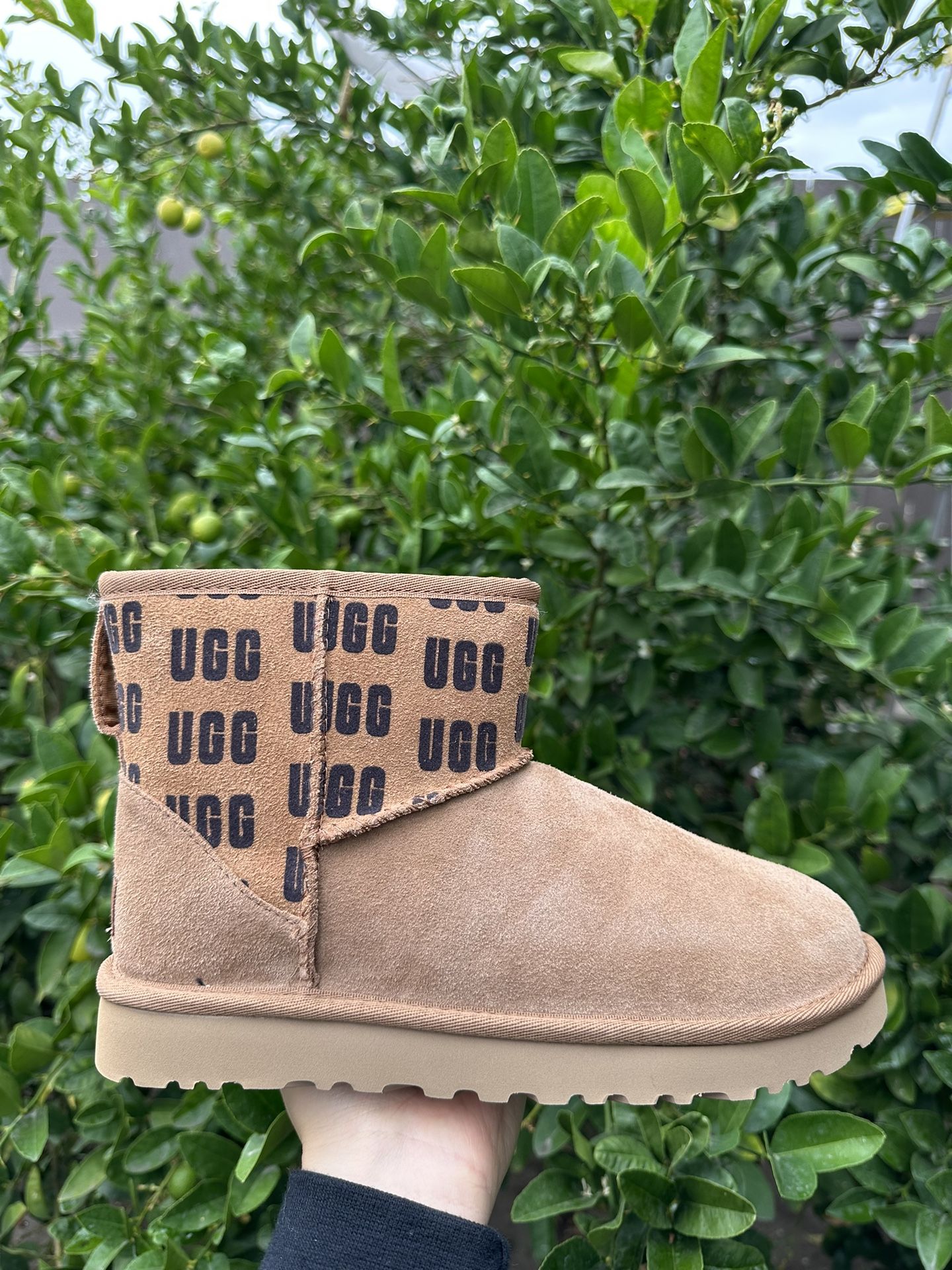 Ugg Mini Classic