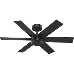 Hunter Perlman 44 In Ceiling Fan Indoor/outdoor 